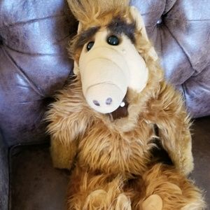 Meet your Posher, Dawn